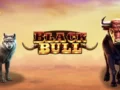 프라그마틱 플레이, 디지털 슬롯 블랙불(Black Bull) 출시